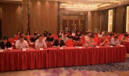 国产欧美日韩精品二区,多元文化交融的视听盛宴