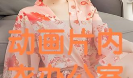 动漫内衣办公室,时尚与创意的完美融合