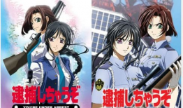 逮捕令动漫,正义之剑下的羁绊与挑战